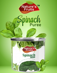 SPINACH PUREE