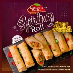 SPRING ROLLS