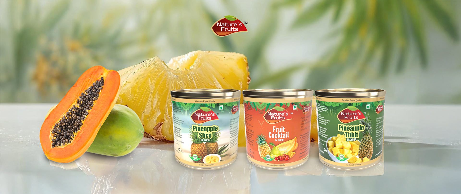 Canned Fruits Done Right – Healthy, Tasty, and Always Ready