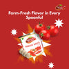 TOMATO SAUCE